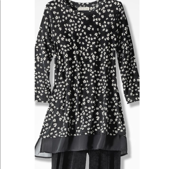 coldwater creek plus sizes